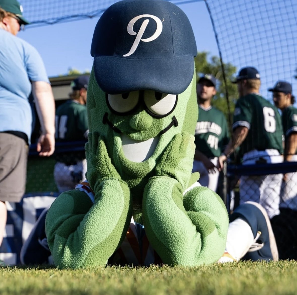Pickles, Pickles, Pickles with Dillon T. Pickle