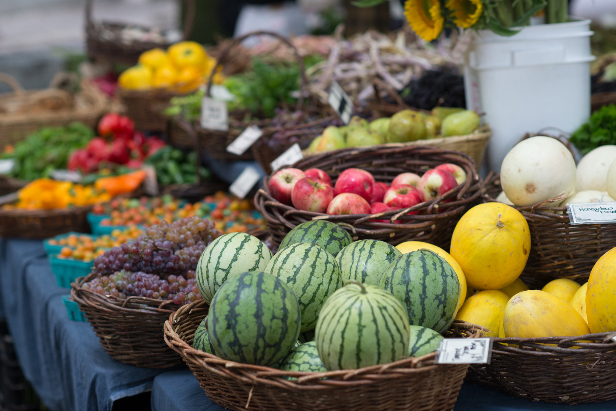 King Farmers Market