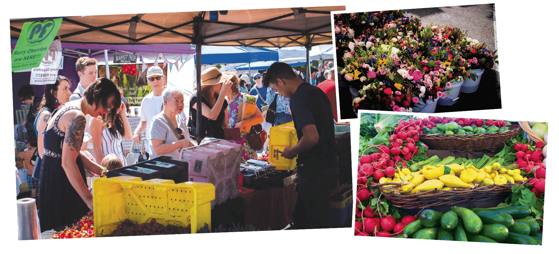 Woodstock Farmers Market