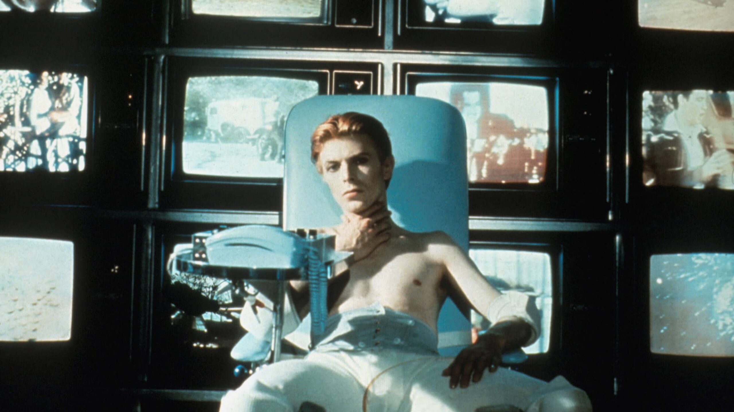 The Man Who Fell to Earth (1976)