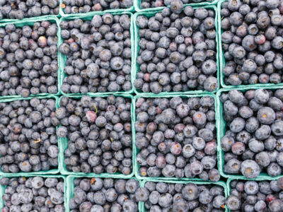 Berry Day