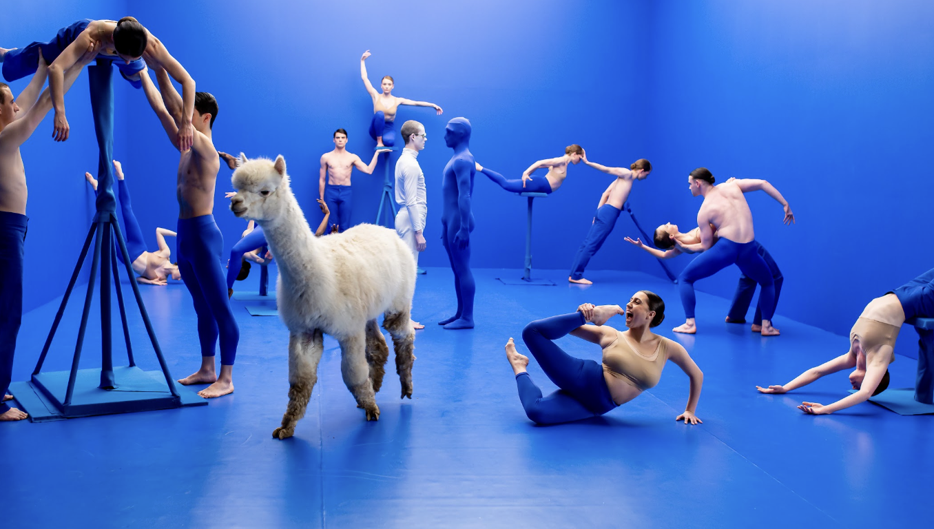 10 Years of Portland Dance Film Festival – Directors’ Picks