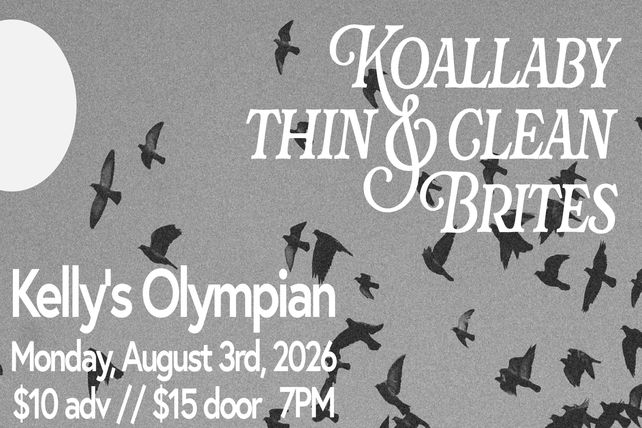 Koallaby, Thin & Clean, Brites