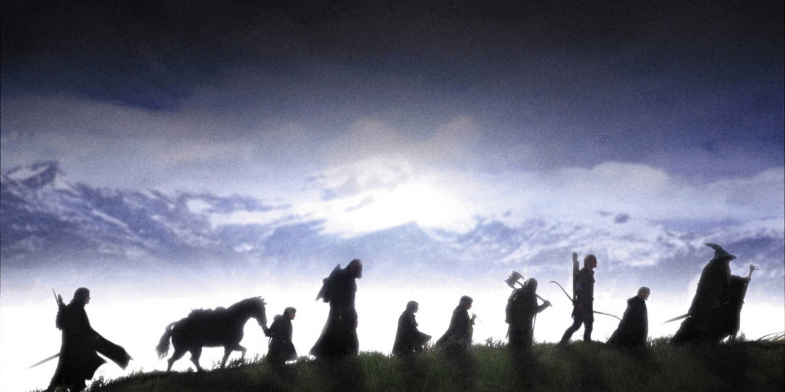 The Lord of the Rings: The Fellowship of the Ring (2001)
