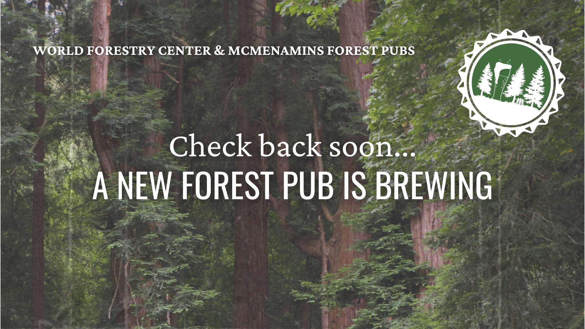 Forest Pub | A Topic is Brewing...