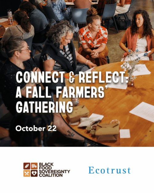 Connect & Reflect: A Fall Farmers' Gathering