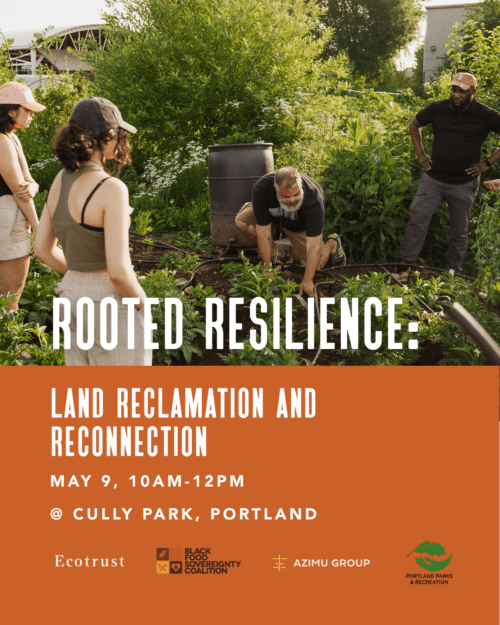 Rooted Resilience: Land Reclamation and Reconnection