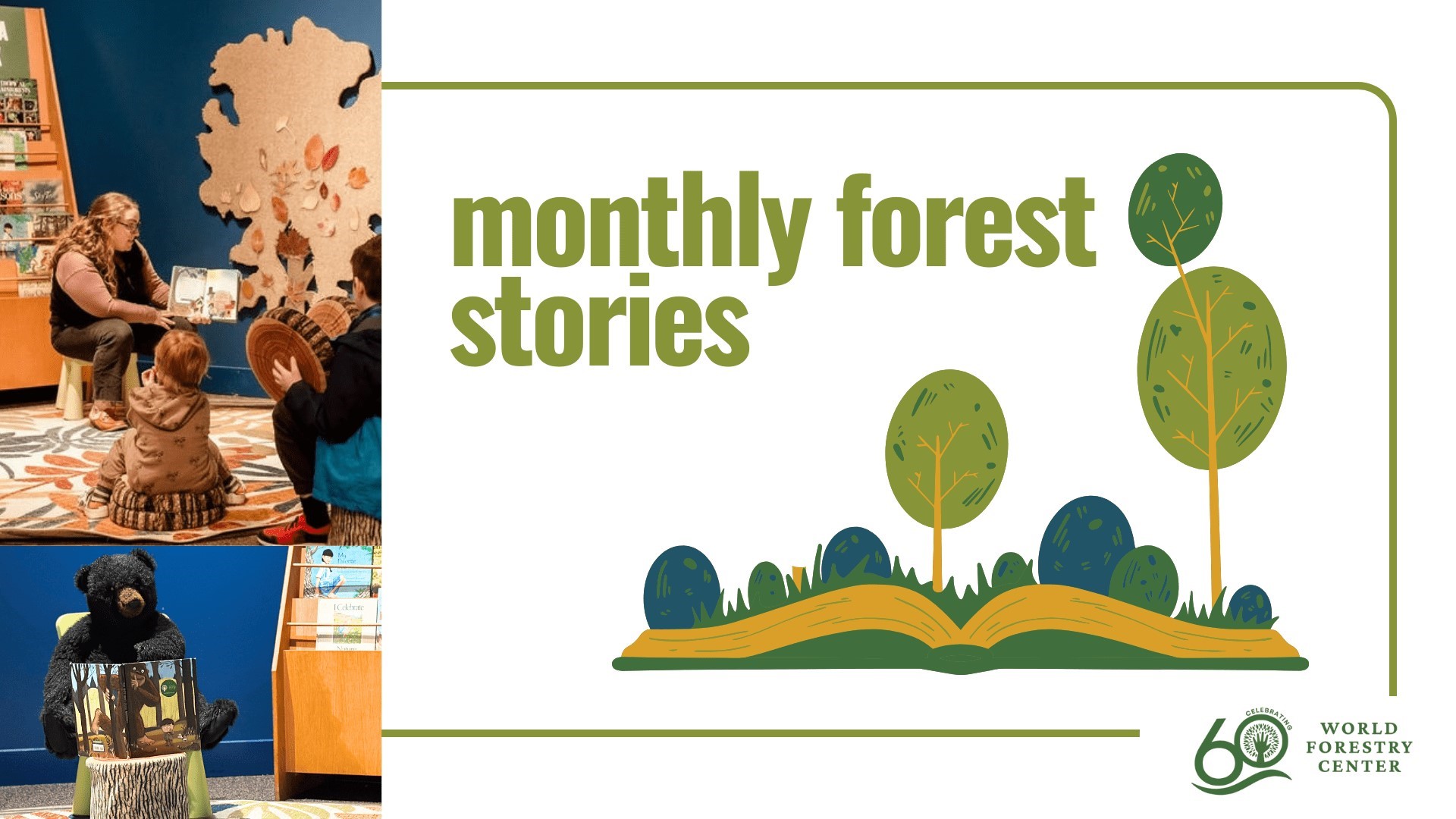 Forest Stories