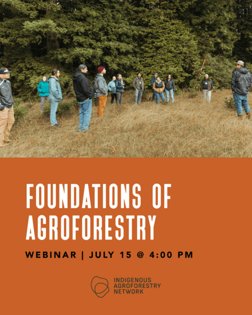 Foundations of Agroforestry