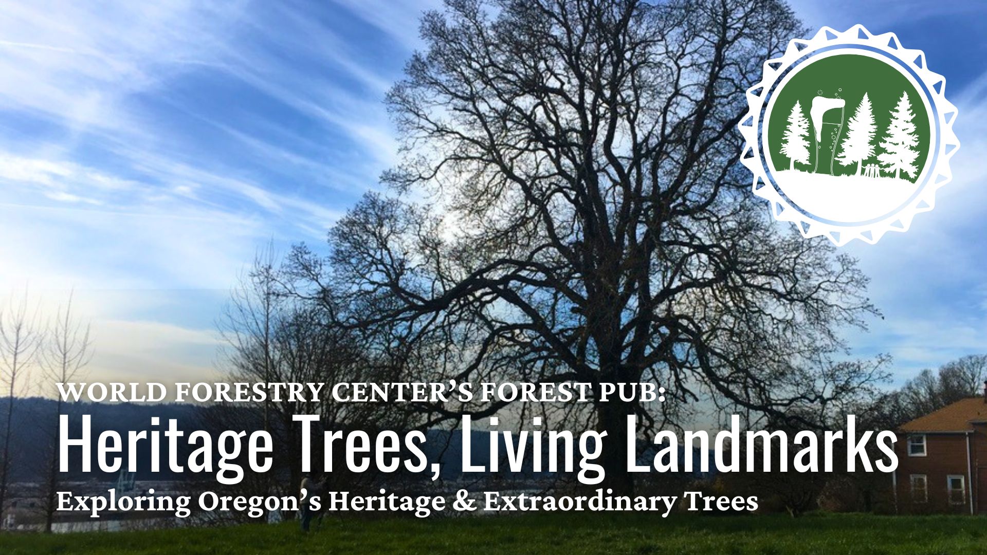 Forest Pub | Heritage Trees, Living Landmarks