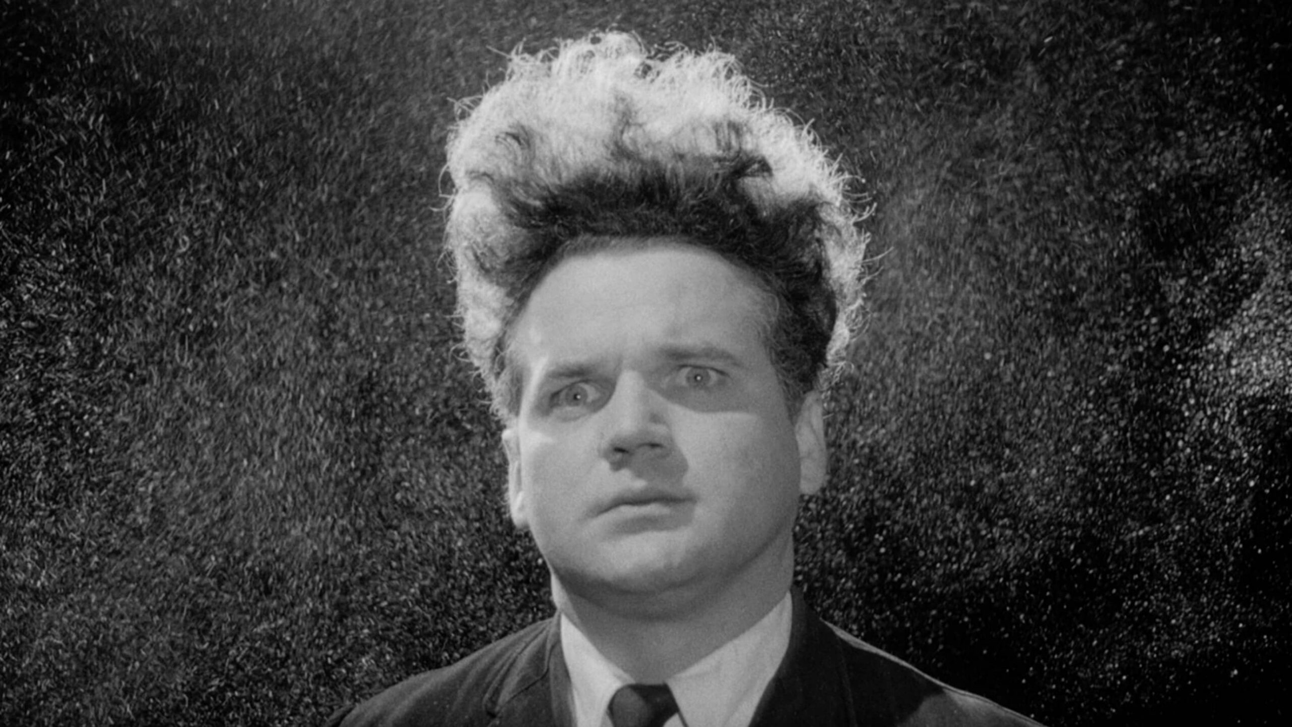 Eraserhead (1977) x Fresh Cut Flowers