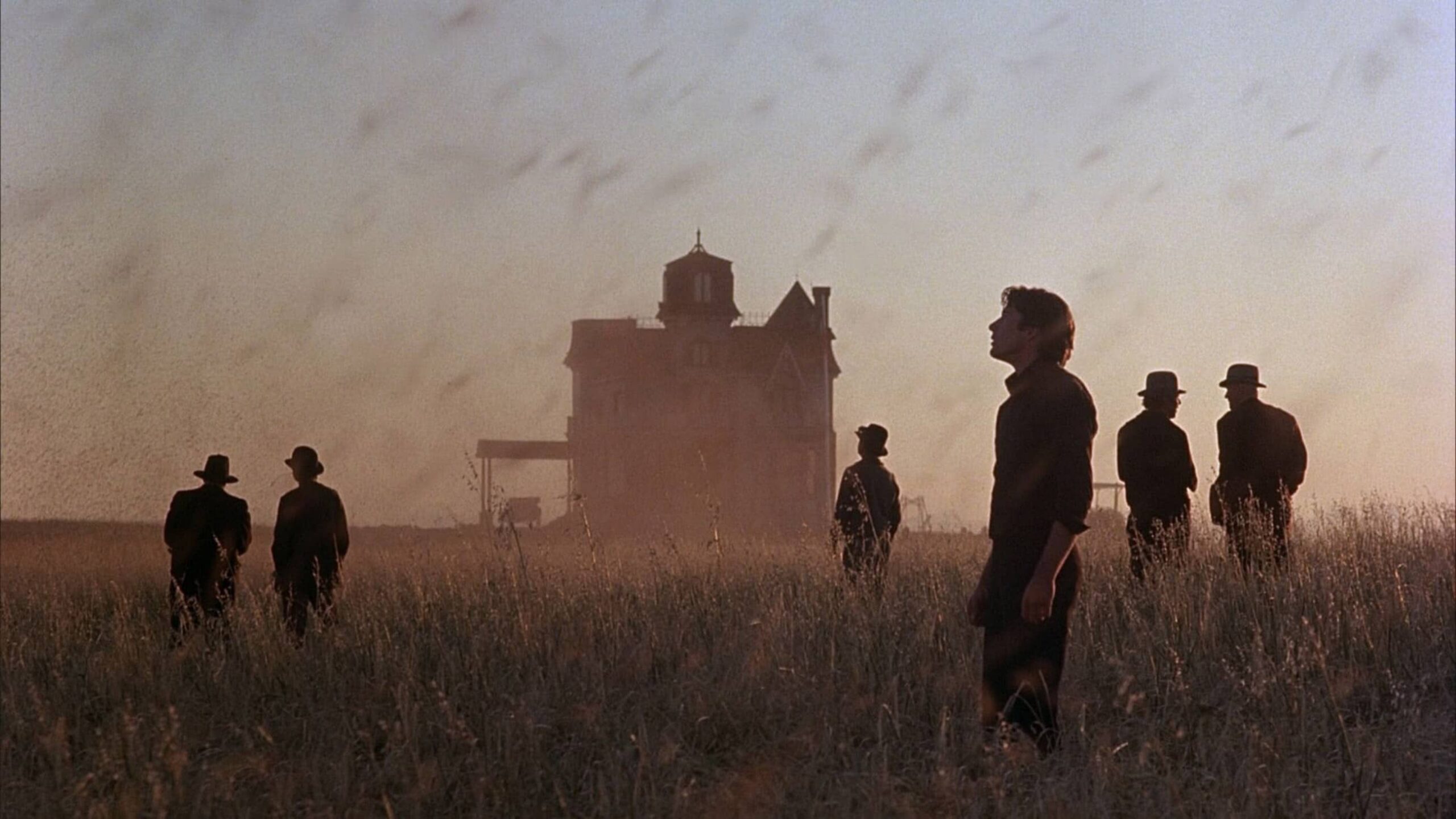 Days of Heaven in 35mm