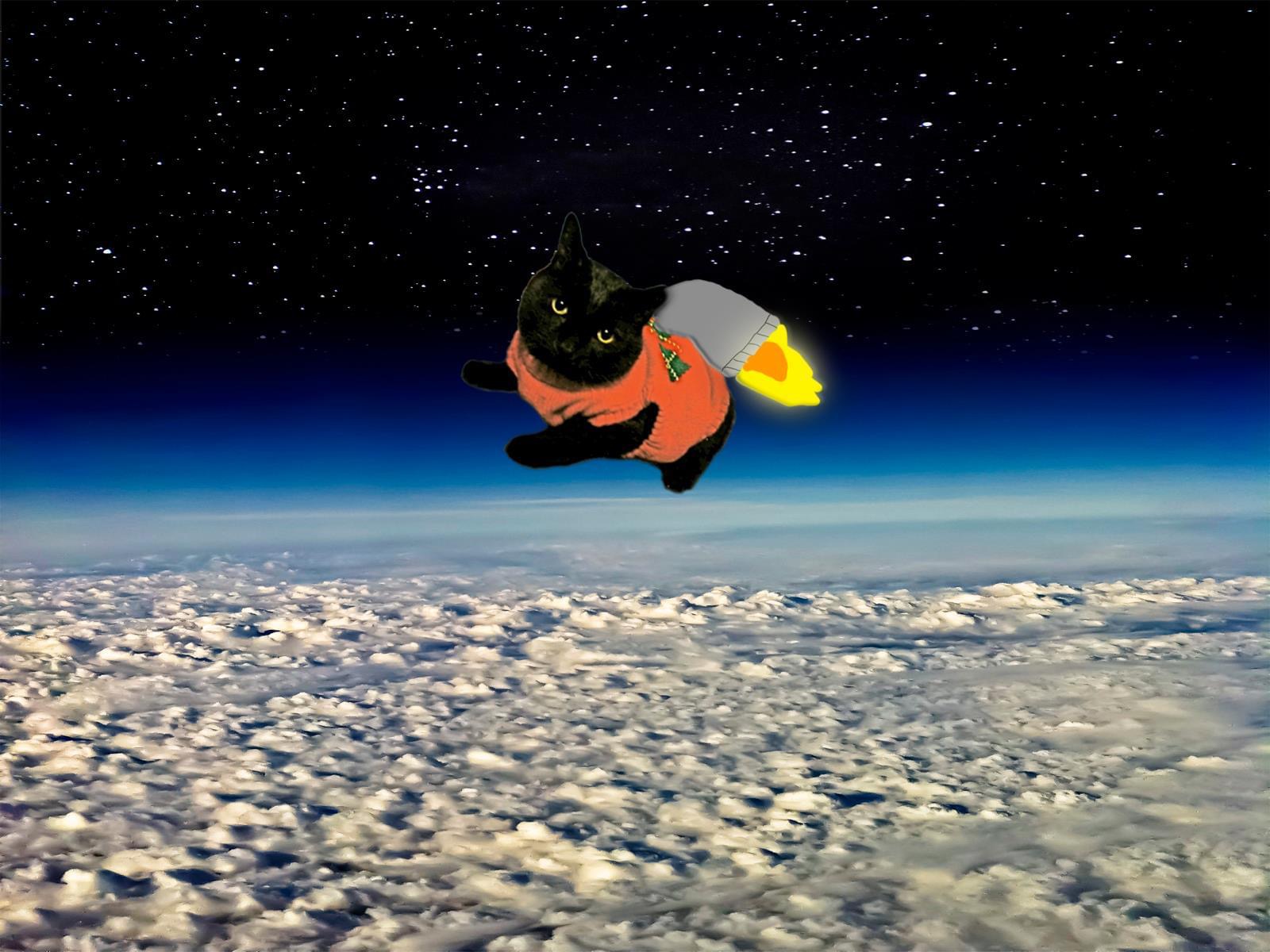 The 4th Annual Space Cat Ride
