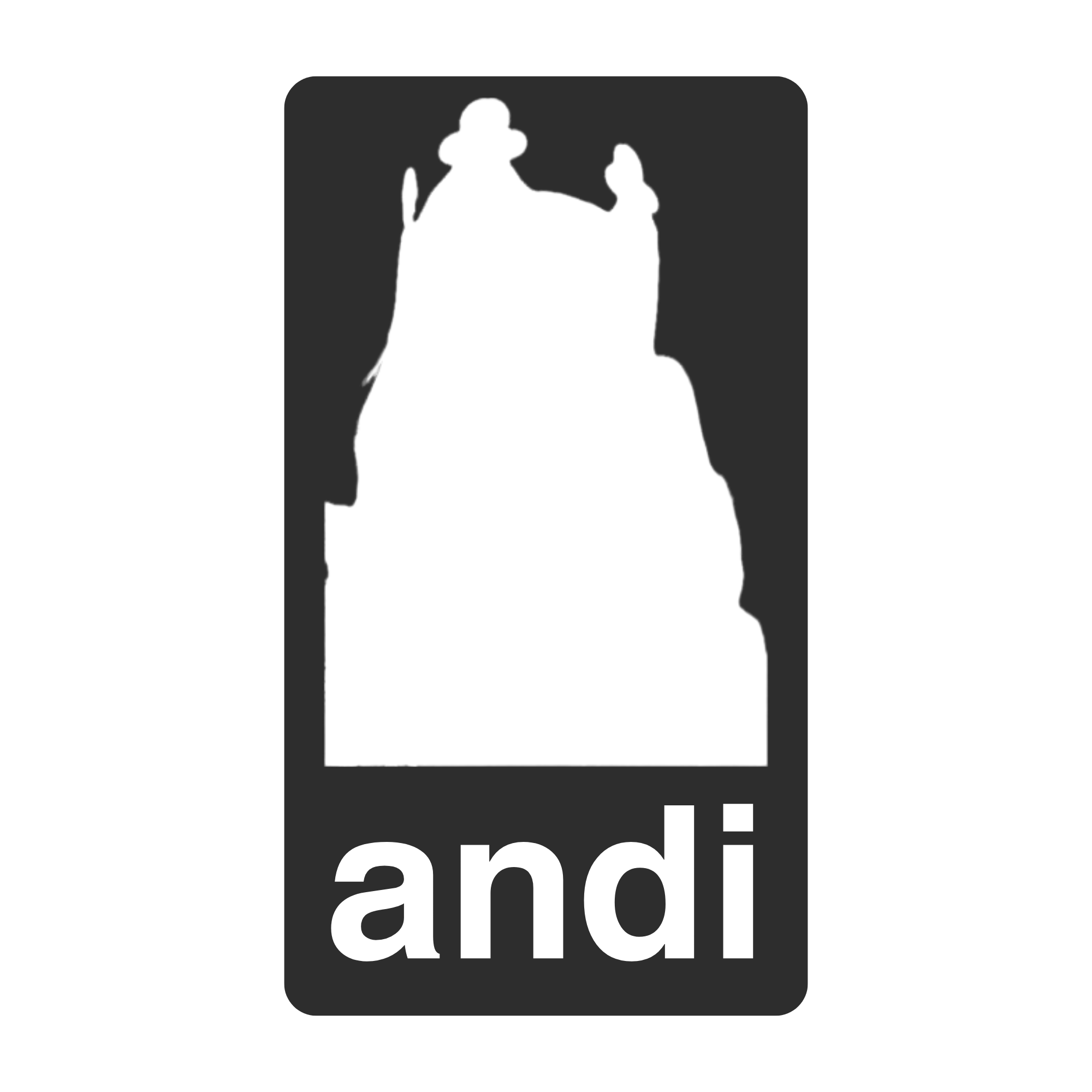 Andi's Birthday Bash