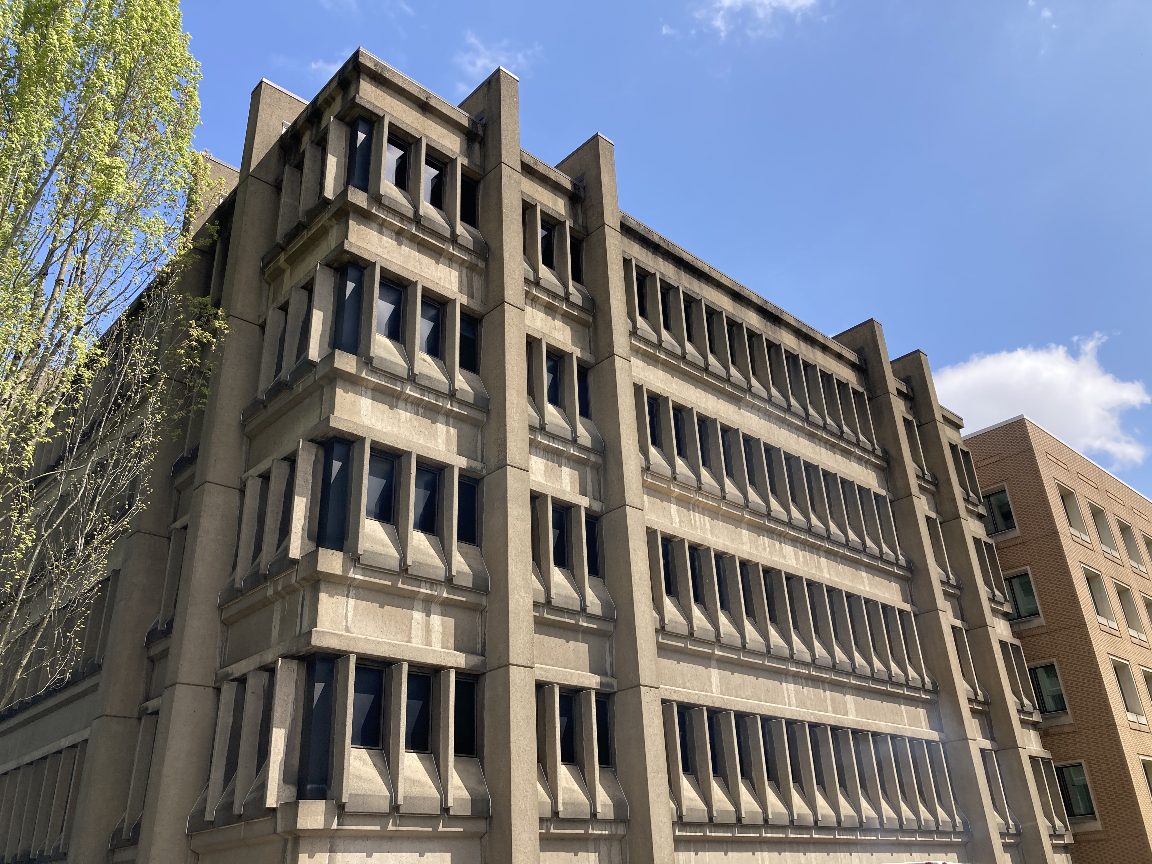 Keep Brutalism Weird
