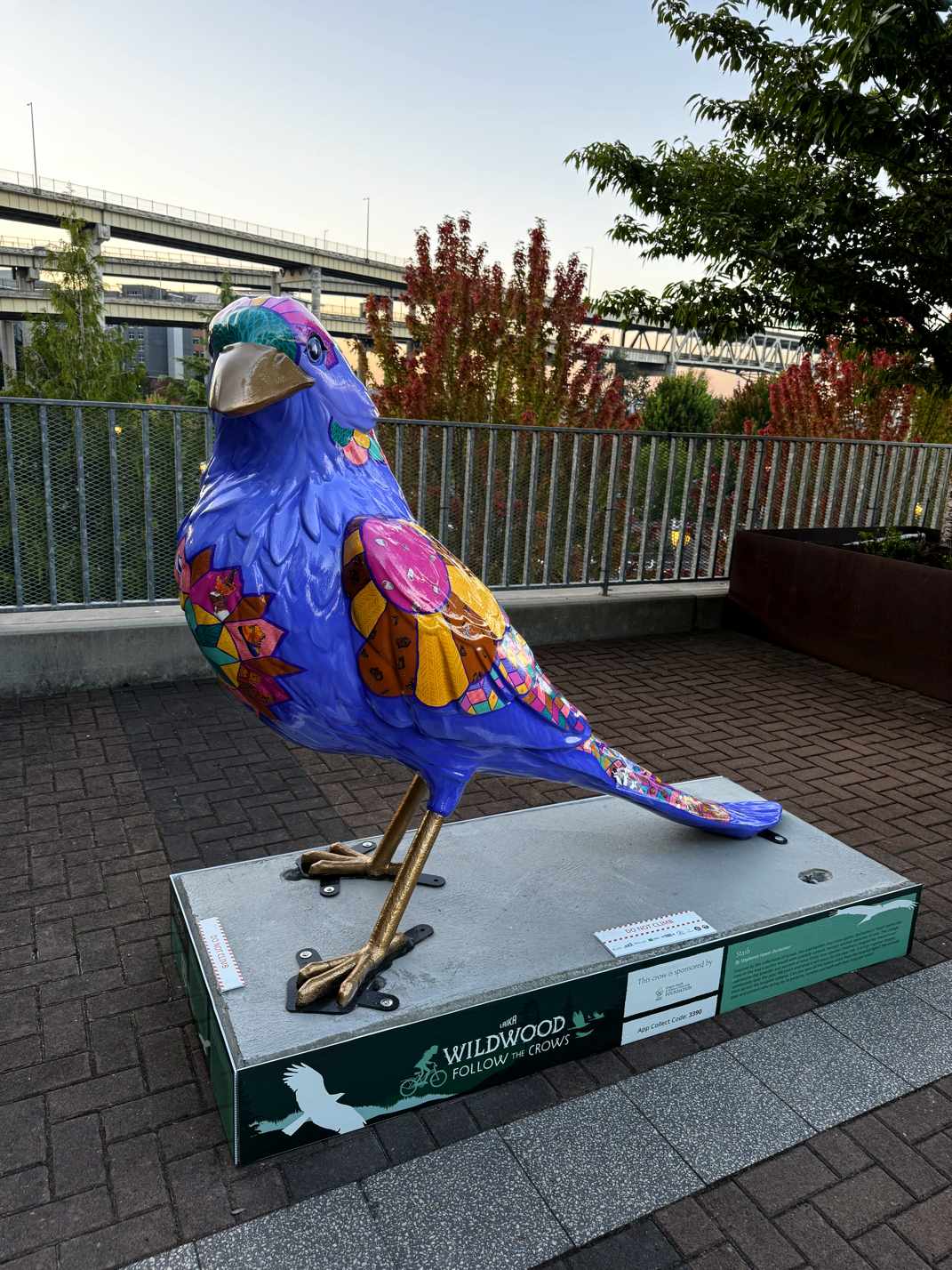 Wildwood: FOLLOW The CROWS Ride, Part 1