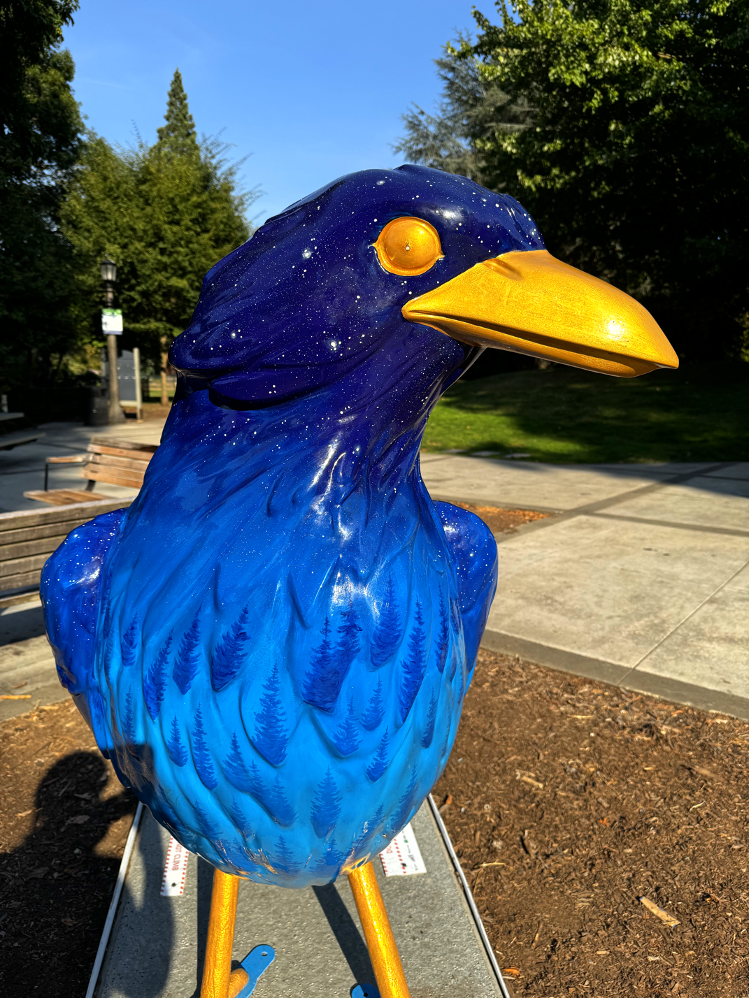 Wildwood: FOLLOW The CROWS Ride, Part 2