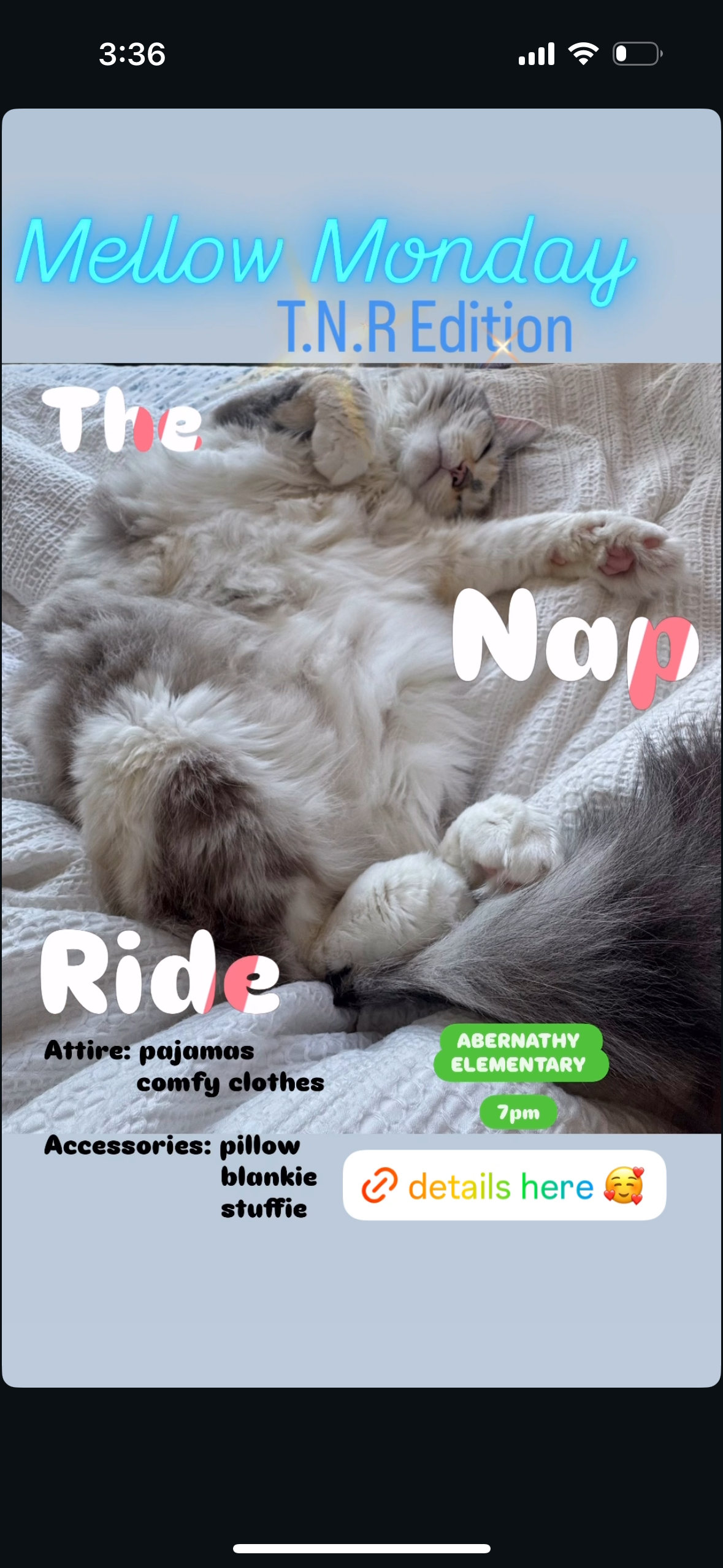 Mellow Monday: TNR Edition
