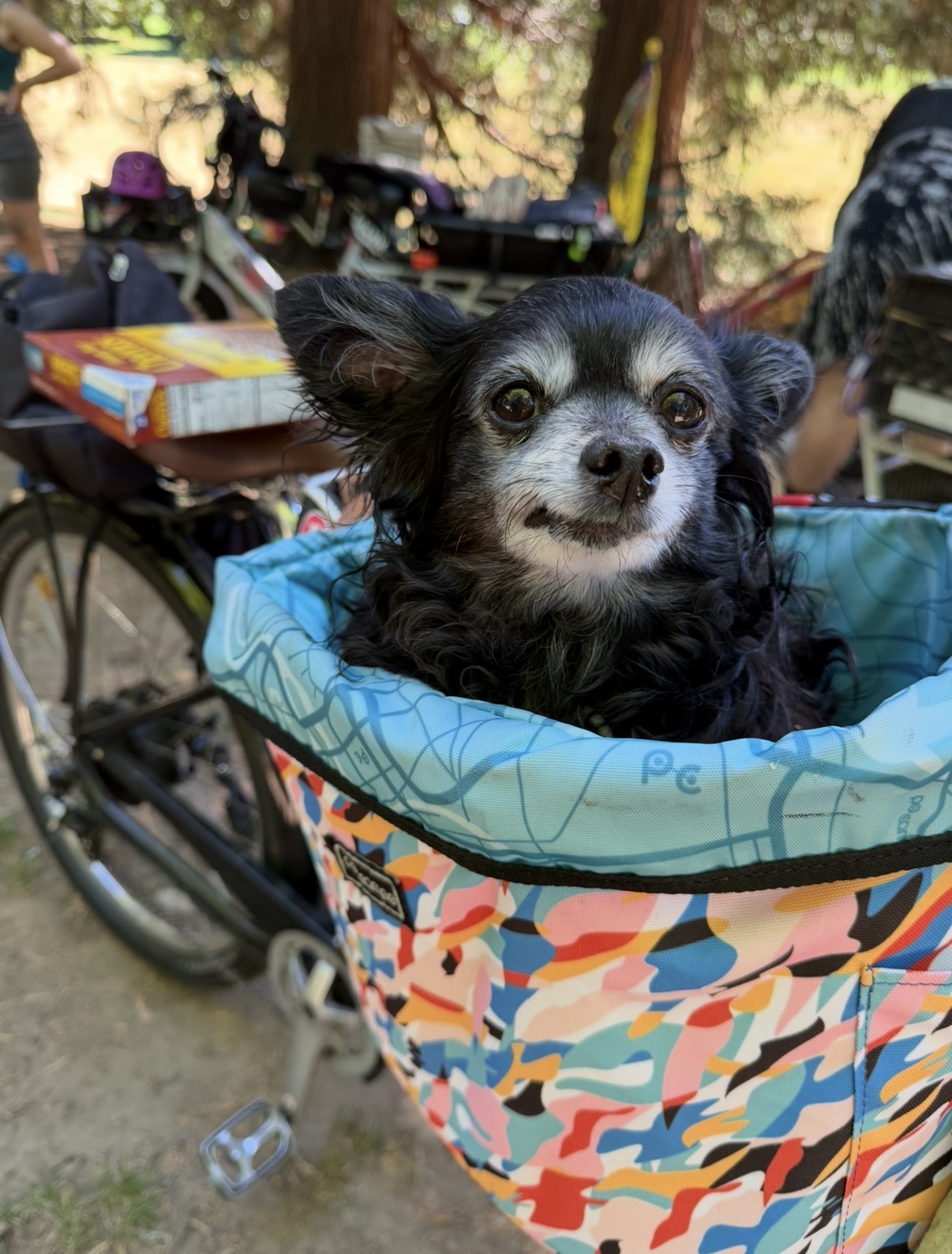 Poppy D Pirate’s 12th Birthday Ride To Ice Cream