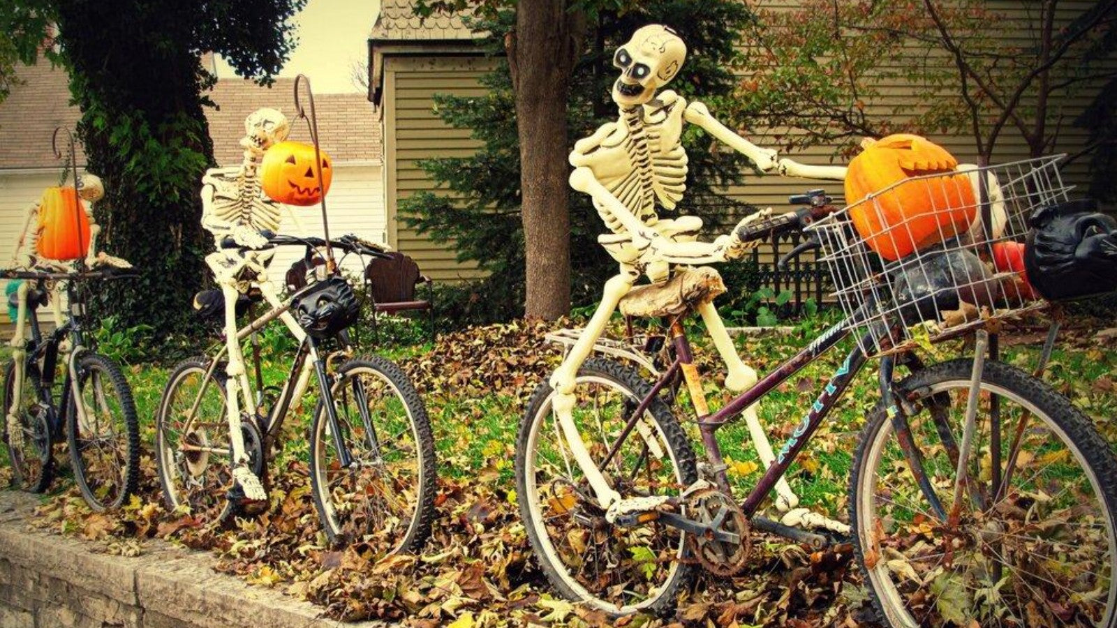 October Dead Baby Bike Ride