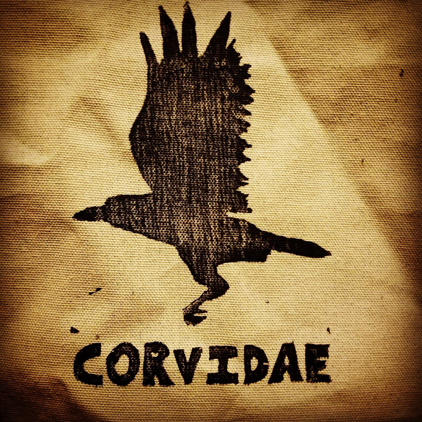 Corvidae BC