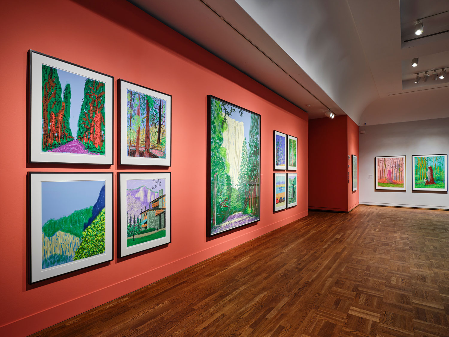Members Night: David Hockney