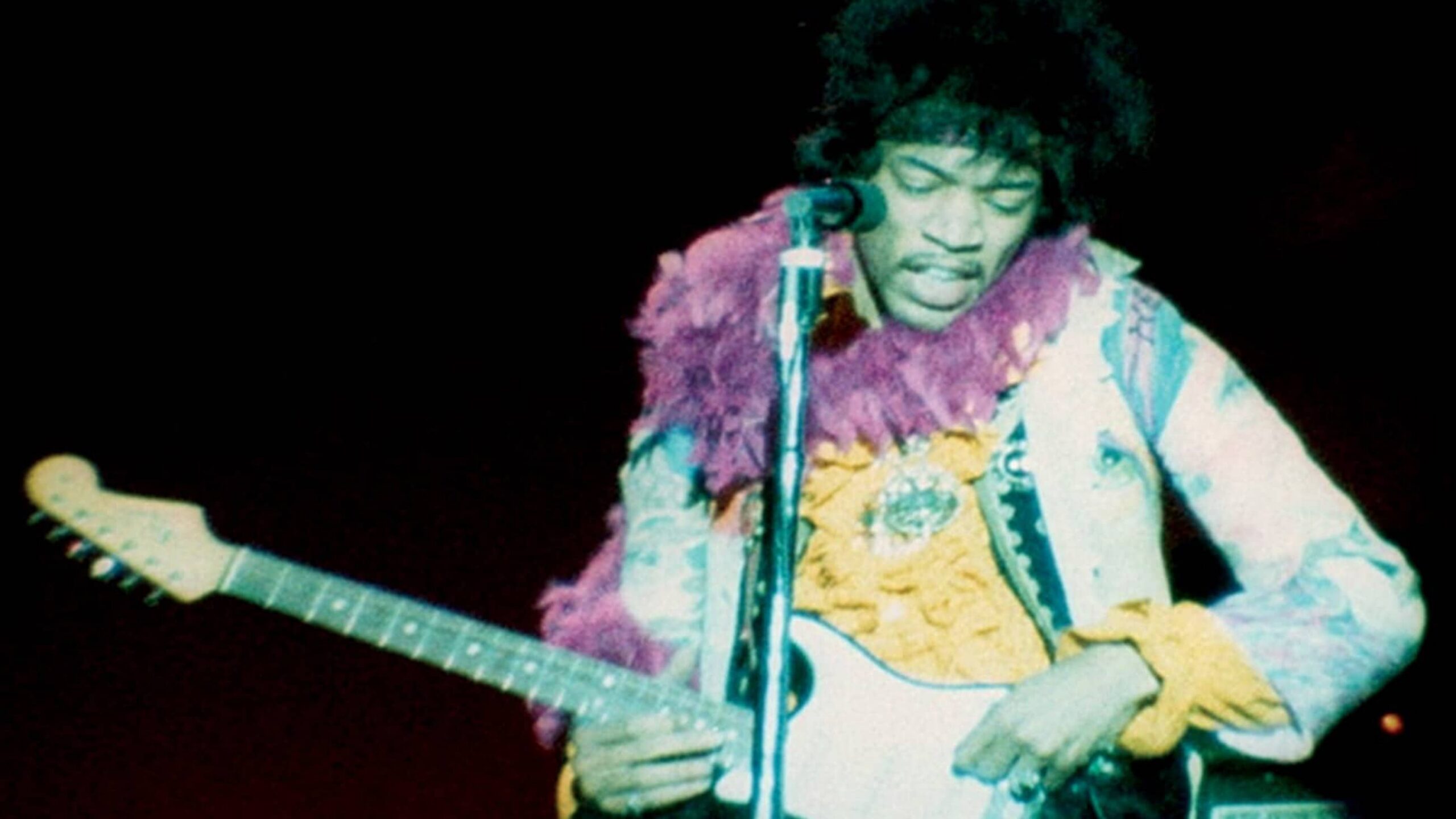 Monterey Pop x Criterion