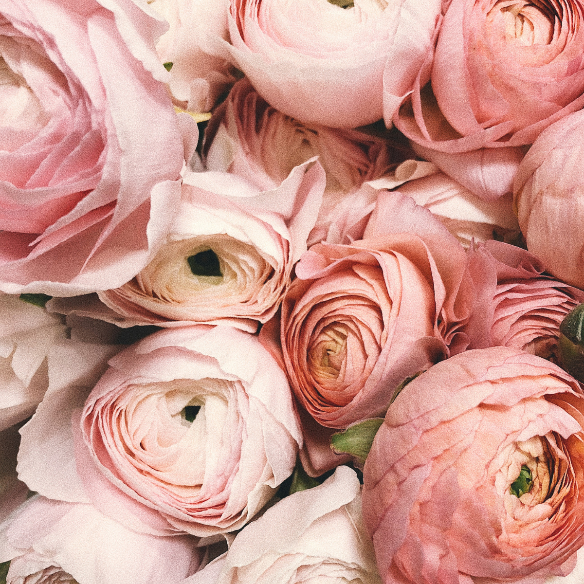 Mother’s Day Brunch Buffet at GVB | McMinnville