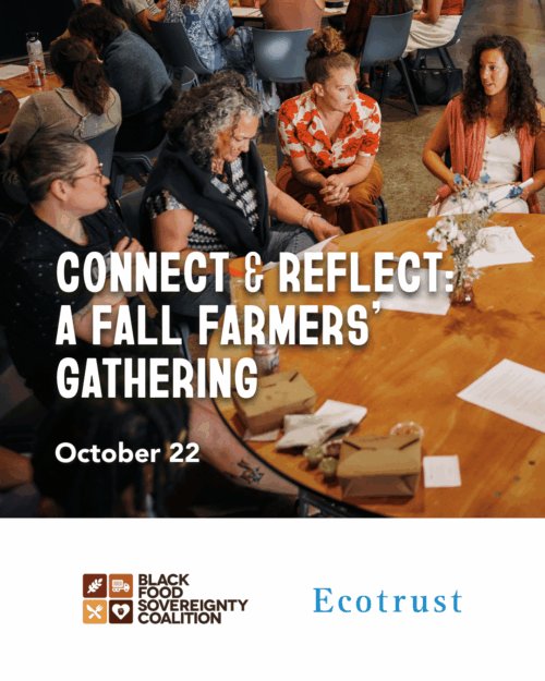 Connect & Reflect: A Fall Farmers' Gathering
