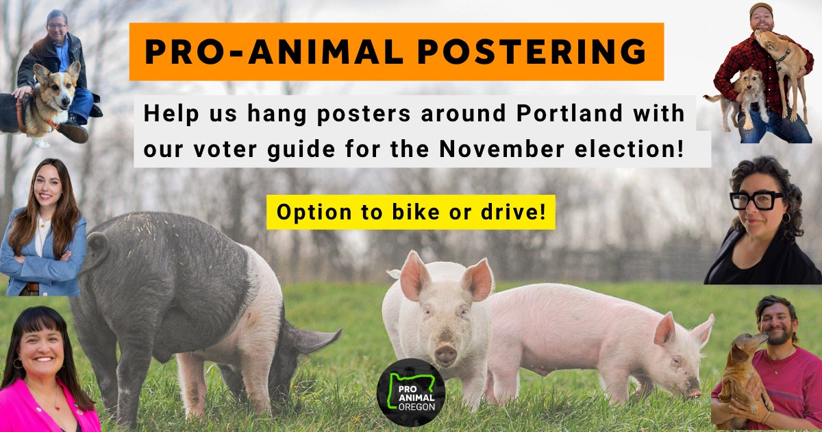 Pro-Animal Postering Ride